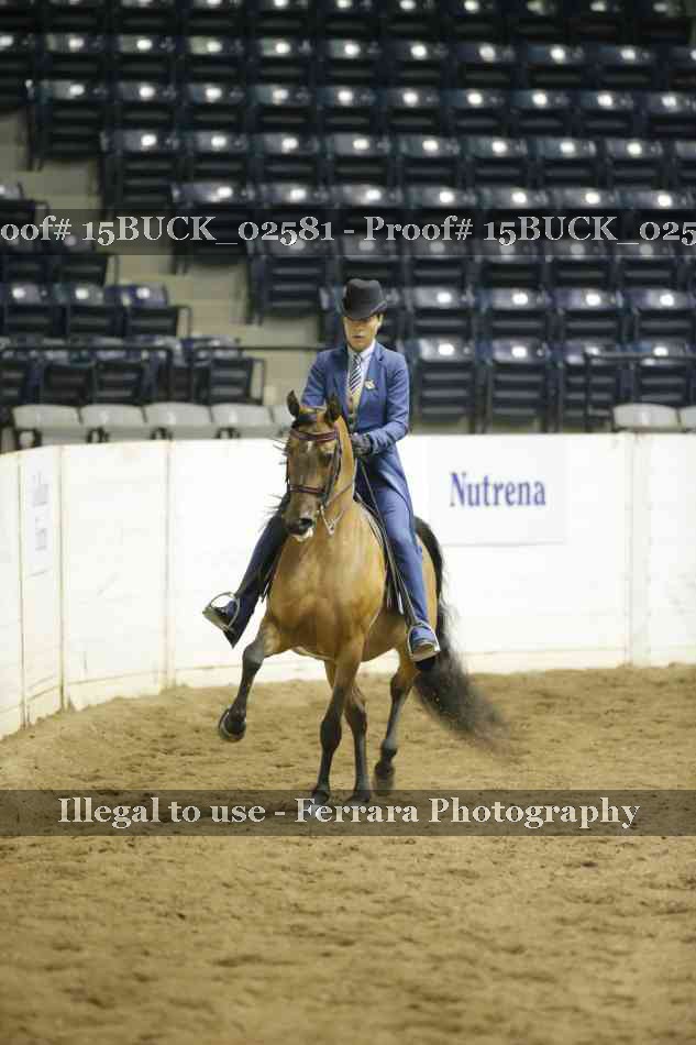 Proof 15BUCK_02581