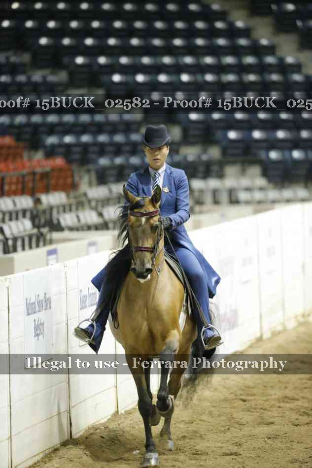 Proof 15BUCK_02582