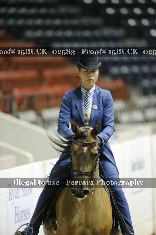 Proof 15BUCK_02583