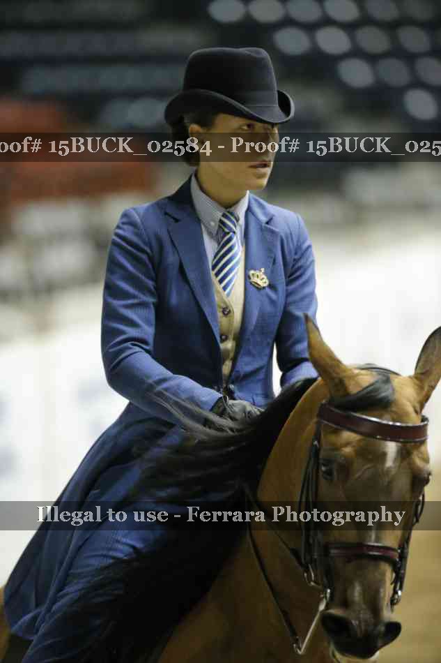 Proof 15BUCK_02584