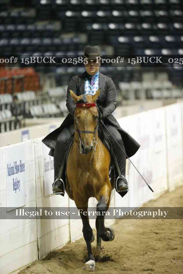Proof 15BUCK_02585