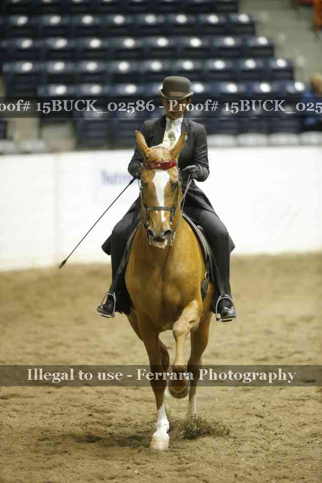 Proof 15BUCK_02586
