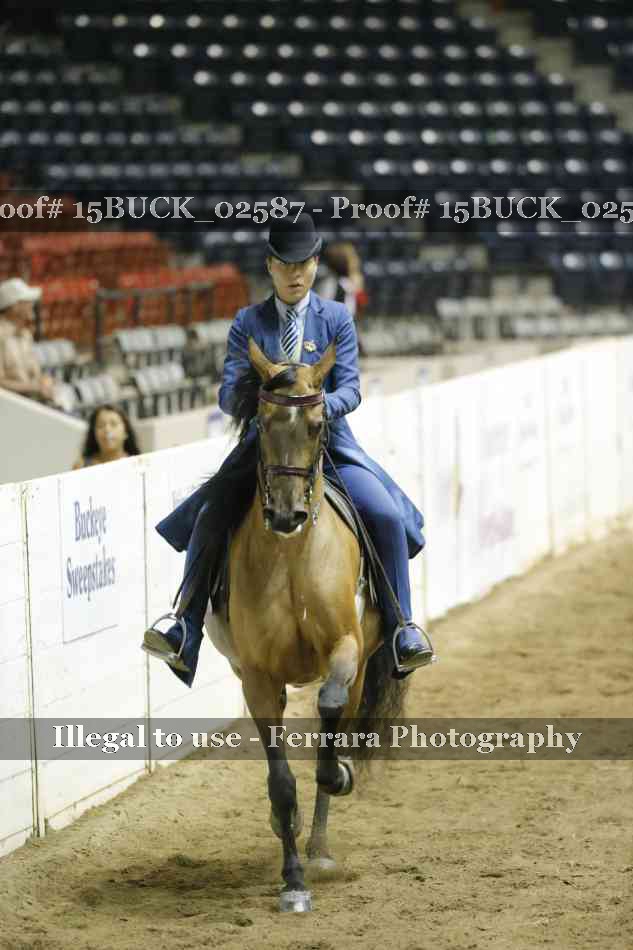 Proof 15BUCK_02587