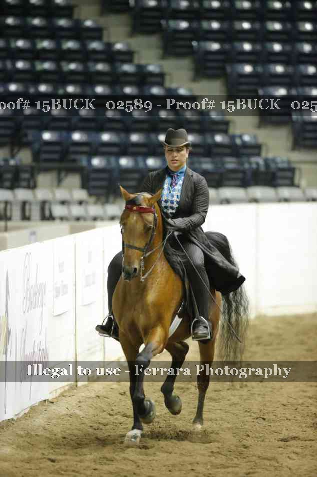 Proof 15BUCK_02589