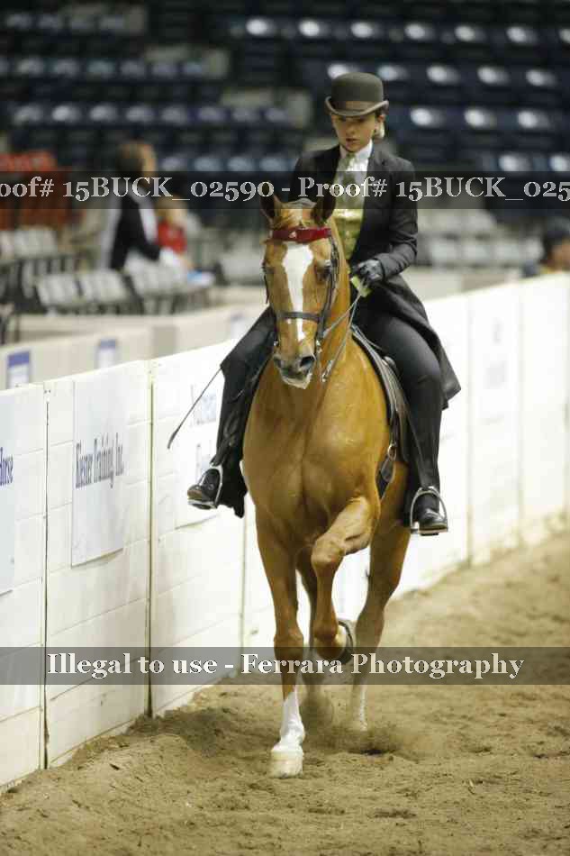 Proof 15BUCK_02590