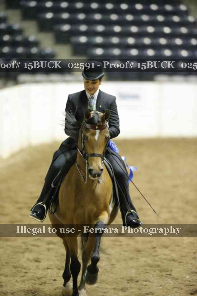 Proof 15BUCK_02591