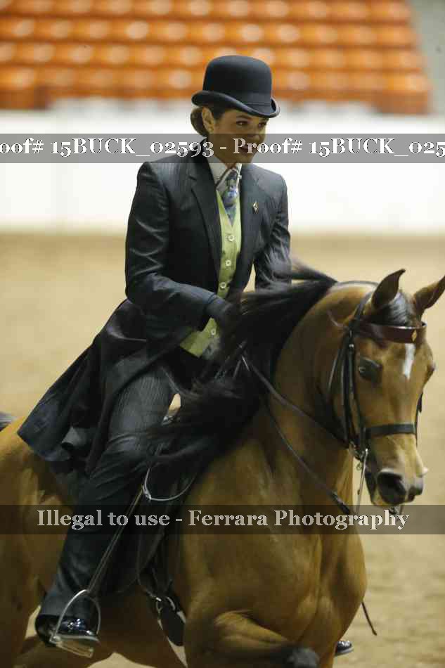 Proof 15BUCK_02593