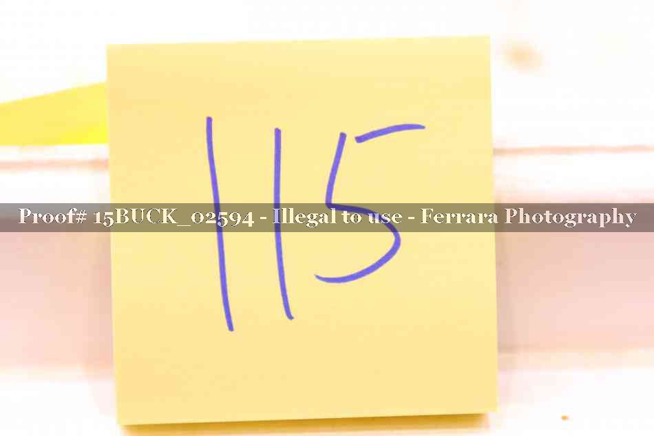 Proof 15BUCK_02594