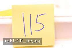 15BUCK_02594 proof