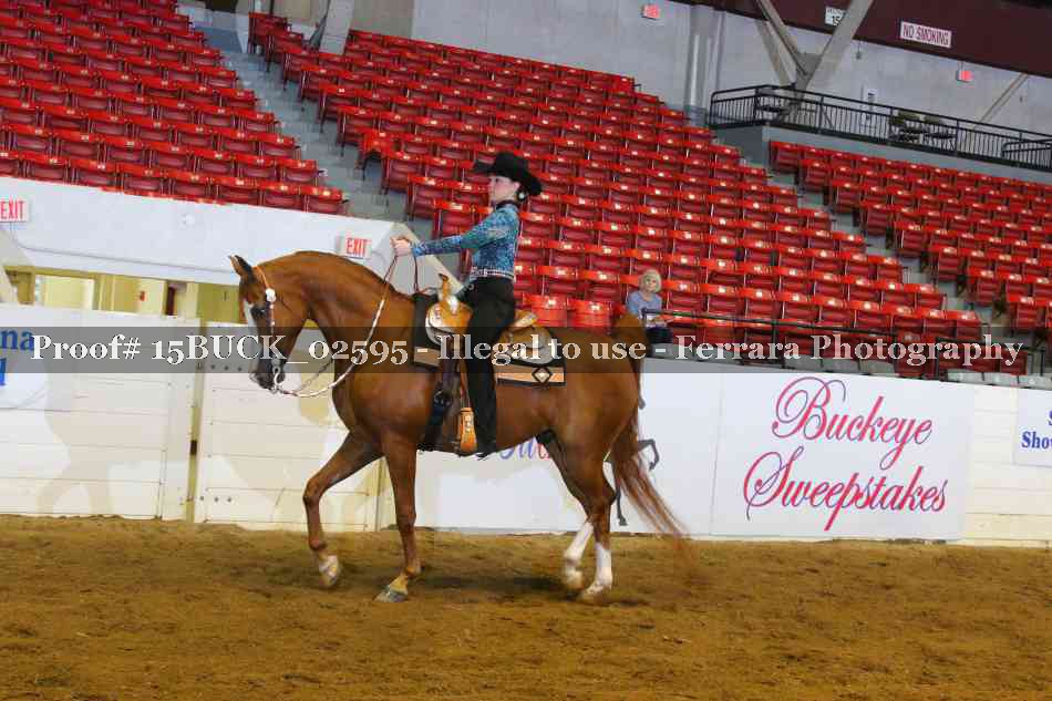 Proof 15BUCK_02595