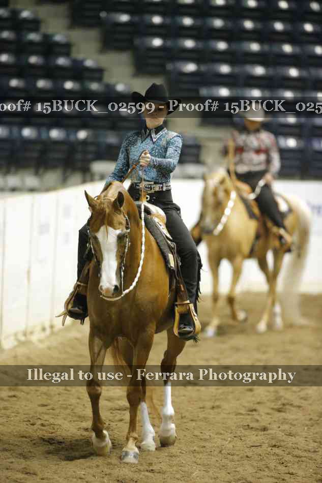 Proof 15BUCK_02599