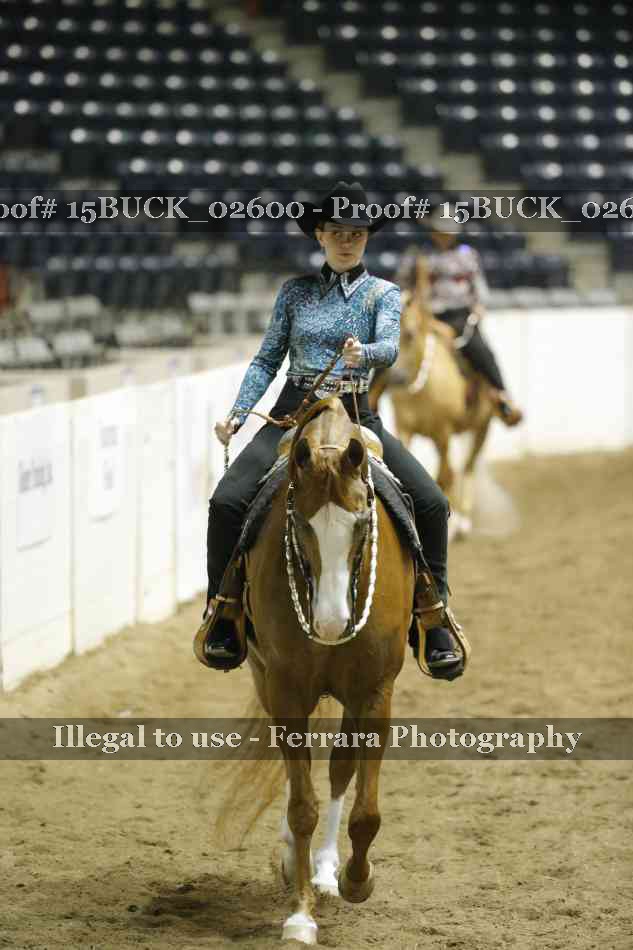 Proof 15BUCK_02600
