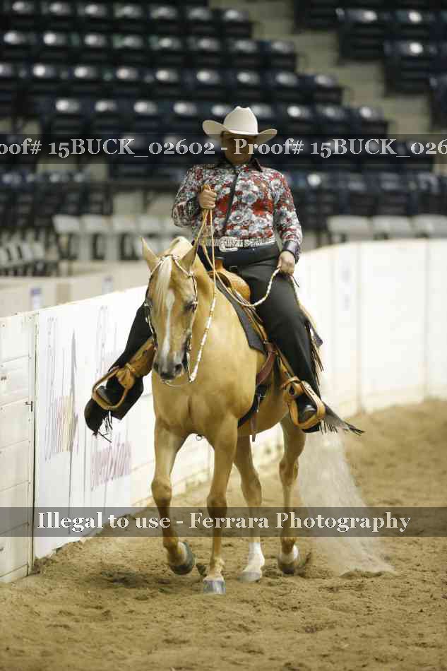 Proof 15BUCK_02602