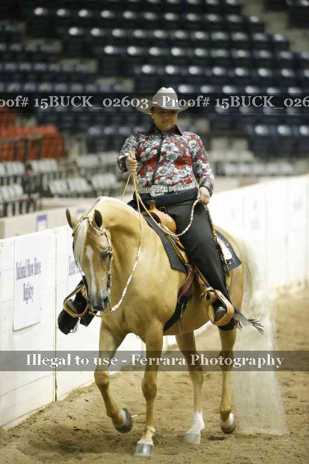 Proof 15BUCK_02603