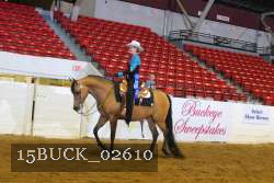 15BUCK_02610 proof
