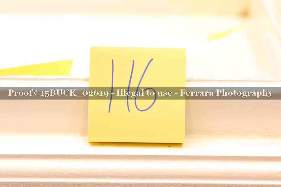 Proof 15BUCK_02619