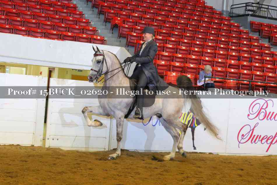 Proof 15BUCK_02620