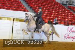 15BUCK_02620 proof