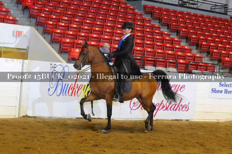 Proof 15BUCK_02621