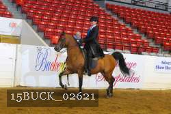 15BUCK_02621 proof