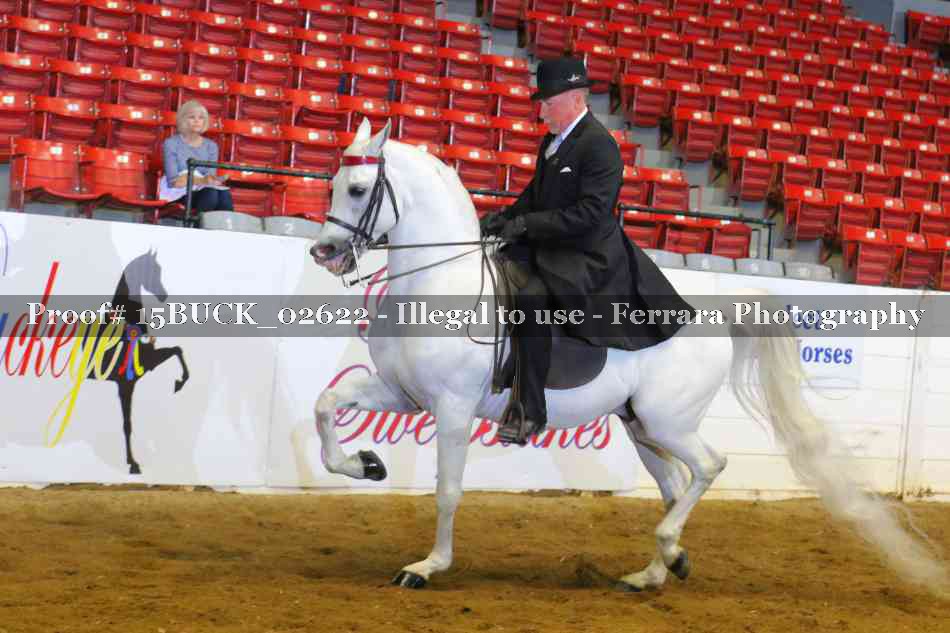 Proof 15BUCK_02622