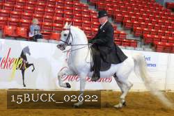15BUCK_02622 proof