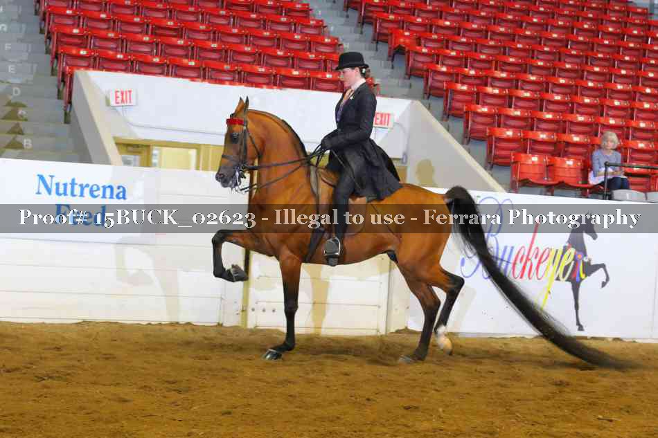 Proof 15BUCK_02623