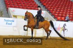 15BUCK_02623 proof
