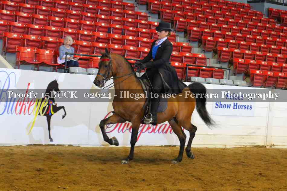 Proof 15BUCK_02624