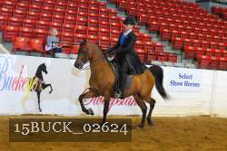 15BUCK_02624 proof