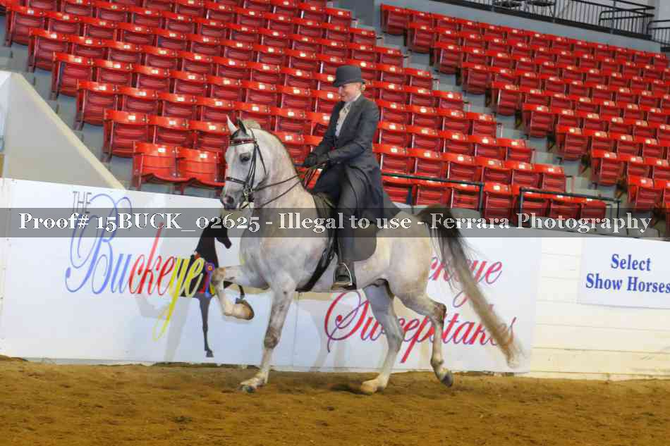 Proof 15BUCK_02625