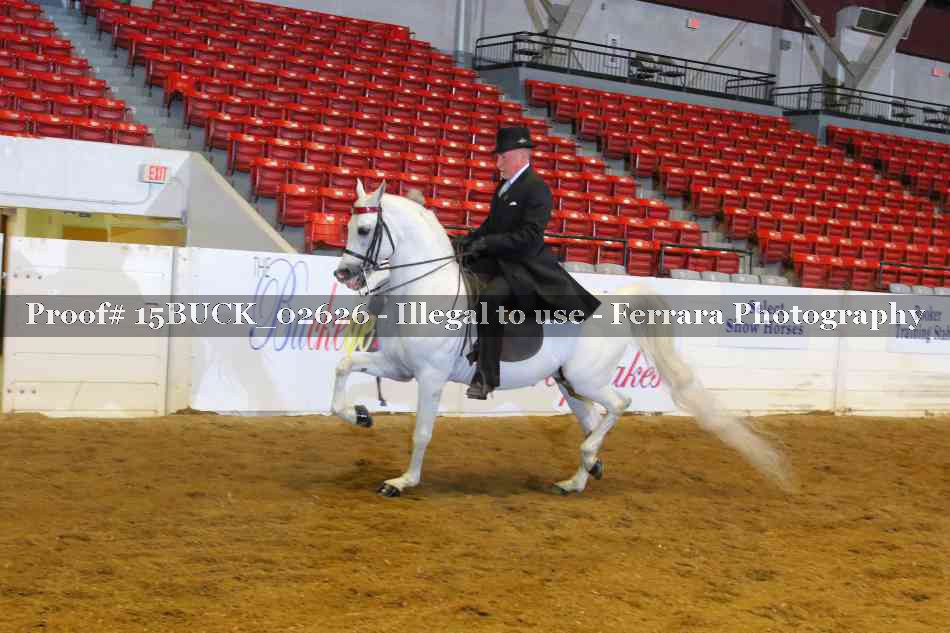 Proof 15BUCK_02626