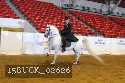 15BUCK_02626 proof
