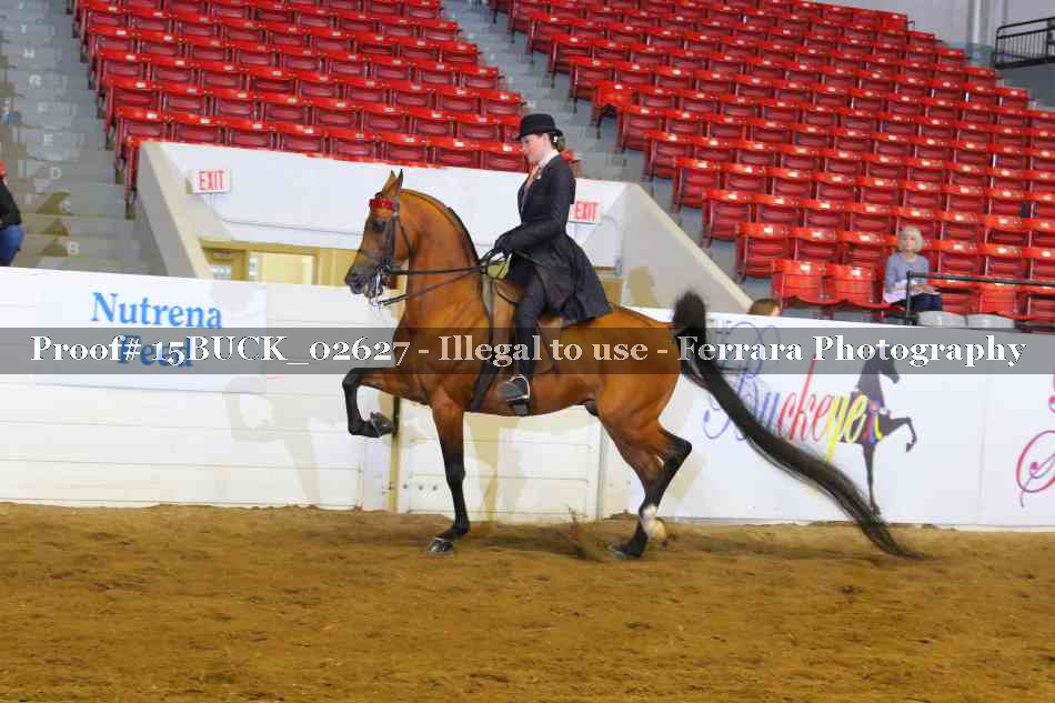 Proof 15BUCK_02627