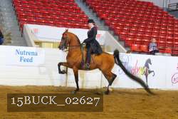 15BUCK_02627 proof