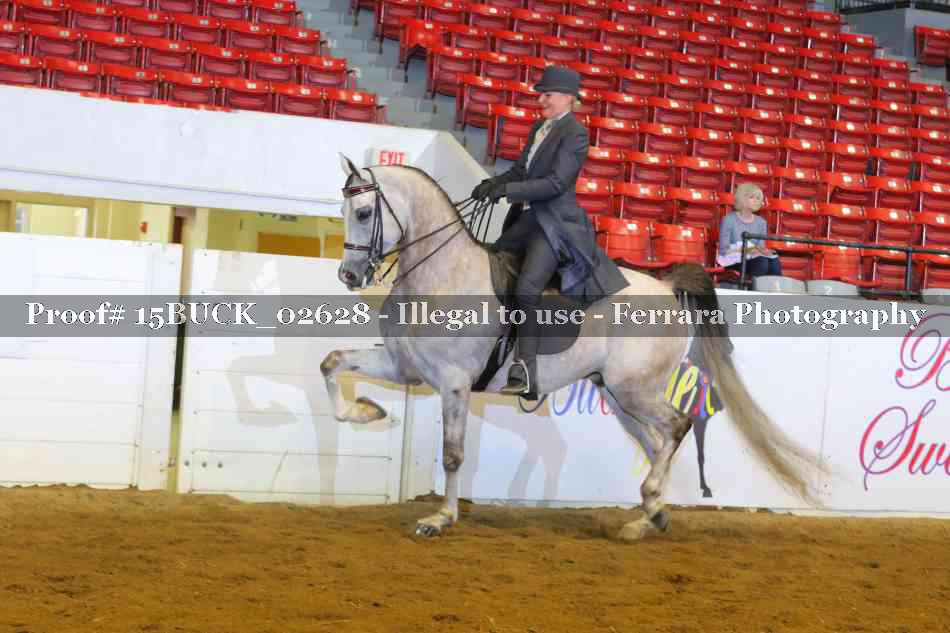 Proof 15BUCK_02628