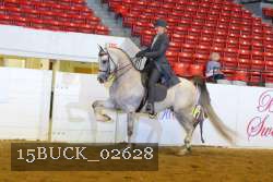 15BUCK_02628 proof
