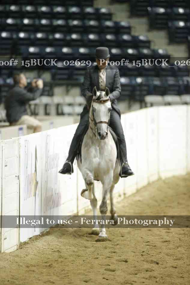 Proof 15BUCK_02629