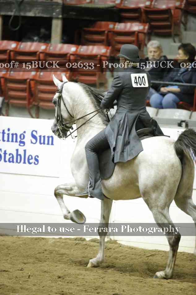 Proof 15BUCK_02633