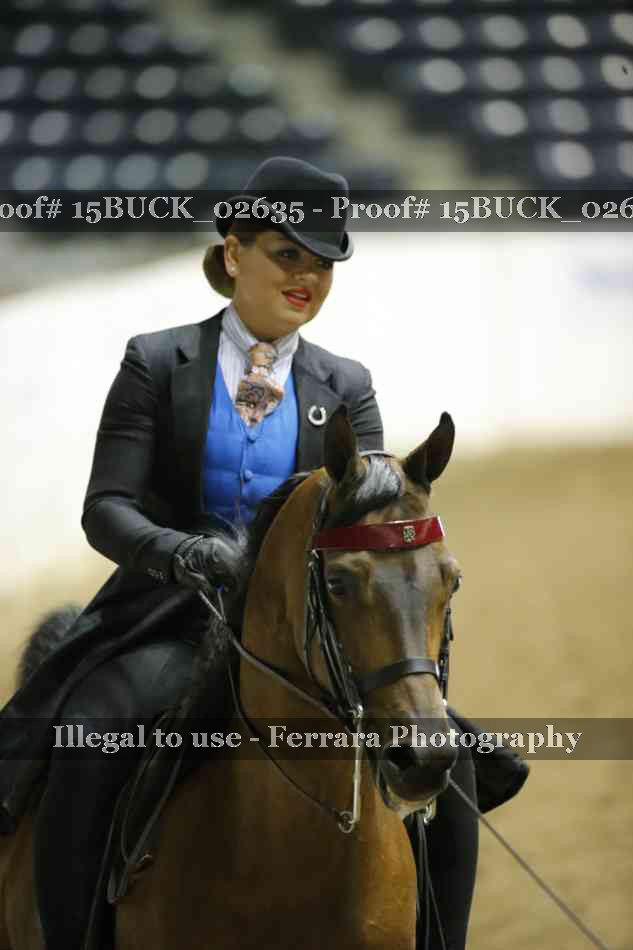 Proof 15BUCK_02635