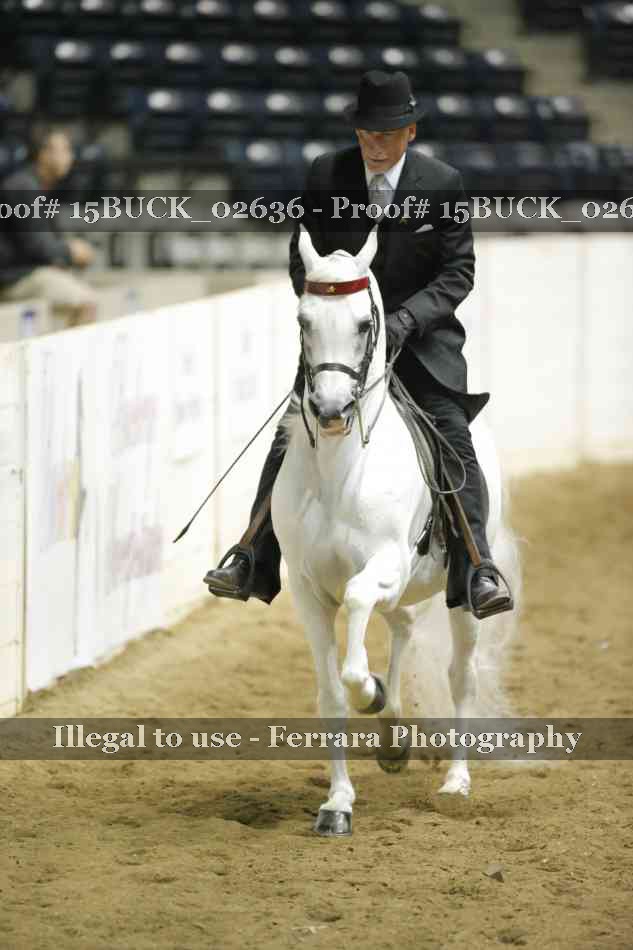 Proof 15BUCK_02636