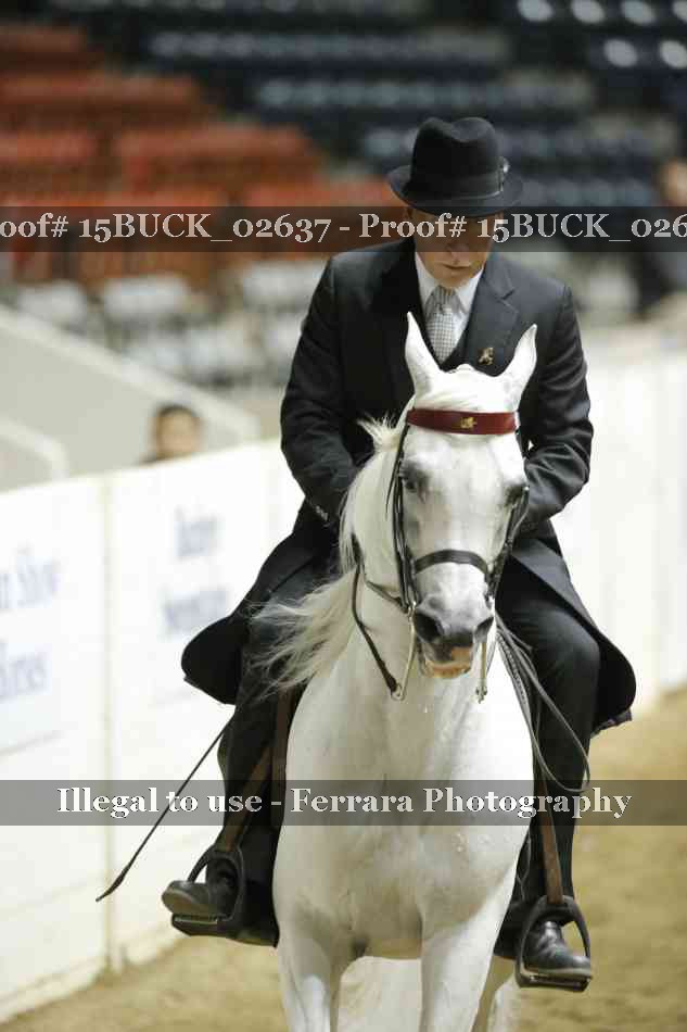 Proof 15BUCK_02637