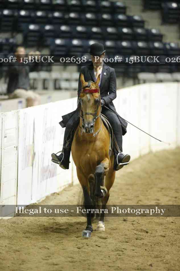 Proof 15BUCK_02638