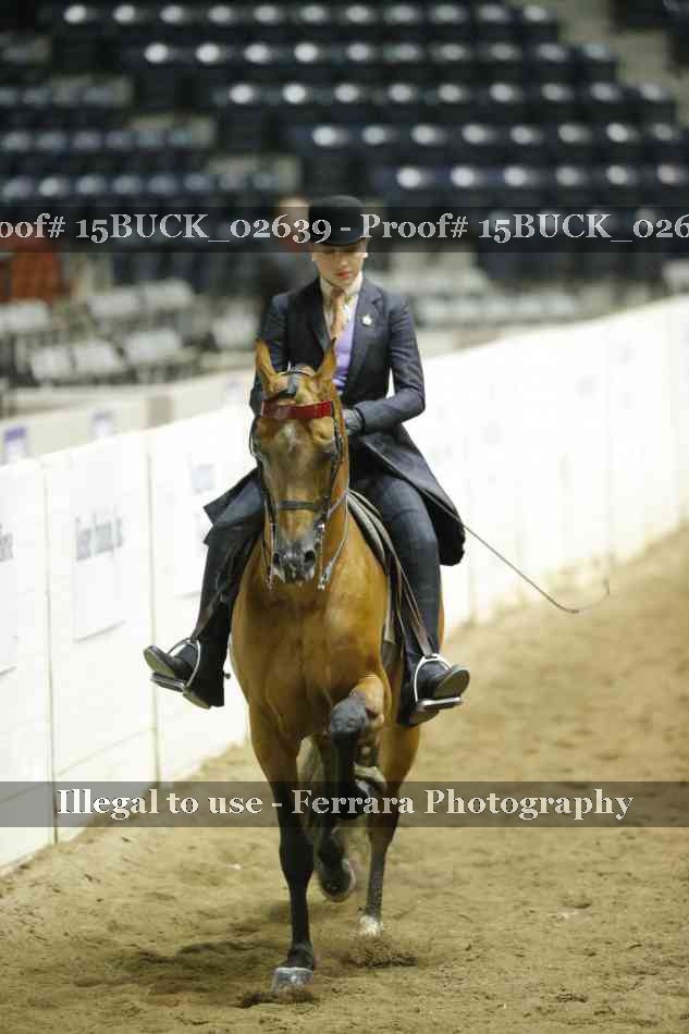 Proof 15BUCK_02639