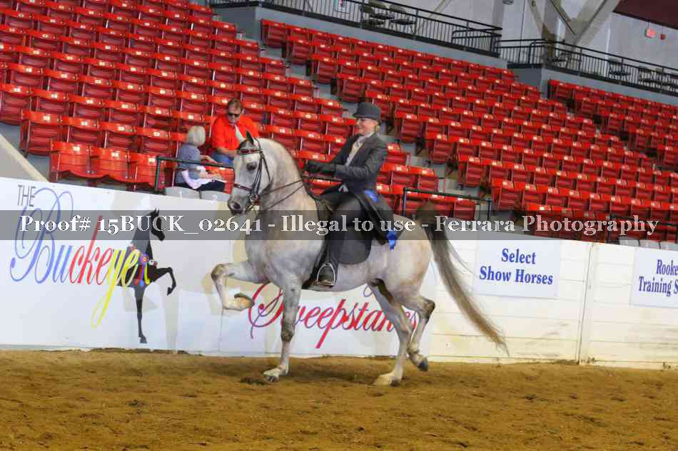 Proof 15BUCK_02641