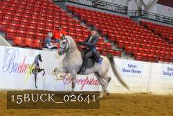 15BUCK_02641 proof
