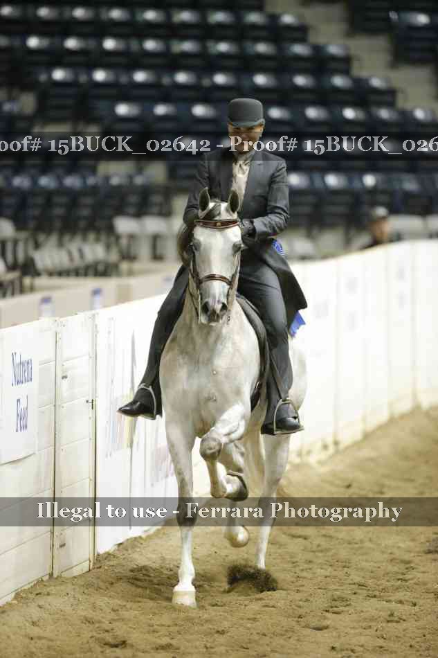 Proof 15BUCK_02642