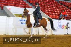 15BUCK_02710 proof