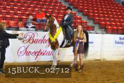 15BUCK_02712 proof