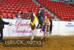 15BUCK_02713 proof